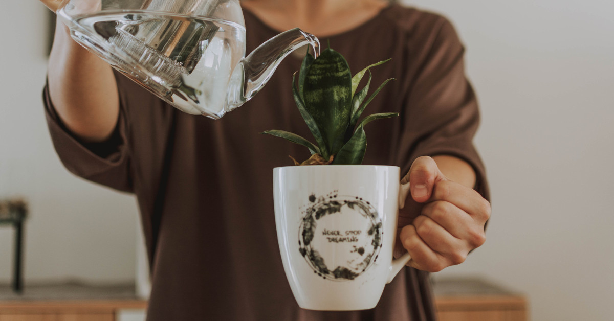 How To Determine Your Most Important Task